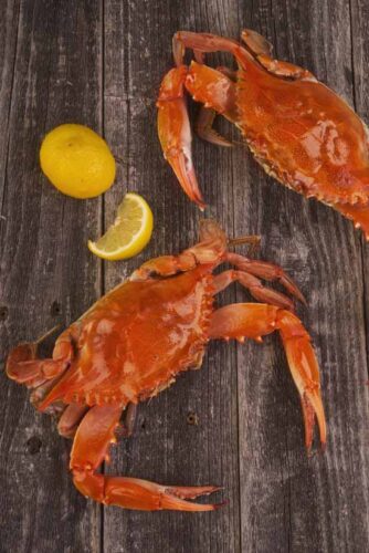 Canning Crab Meat: King and Dungeness